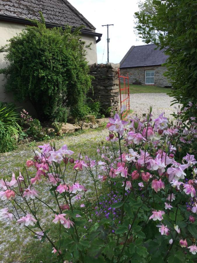 Slievemoyle Cottages Raholp Exterior photo